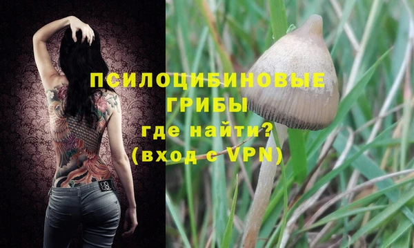соль ск Пестово