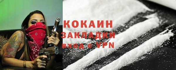 прущие крисы Пересвет